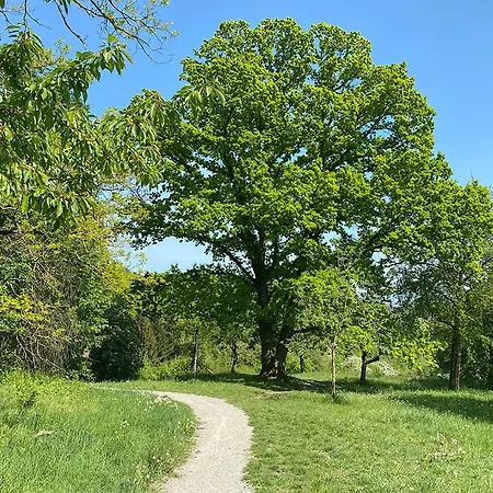 003 Harleshausen Kassel