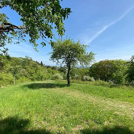 003 Harleshausen Kassel