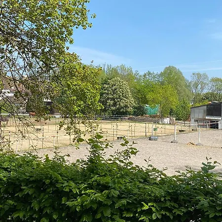 003 Harleshausen Apartmán *