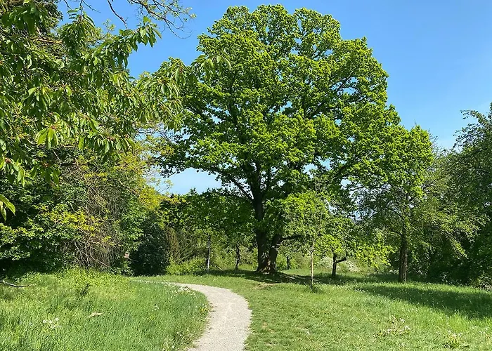 003 Harleshausen Kassel