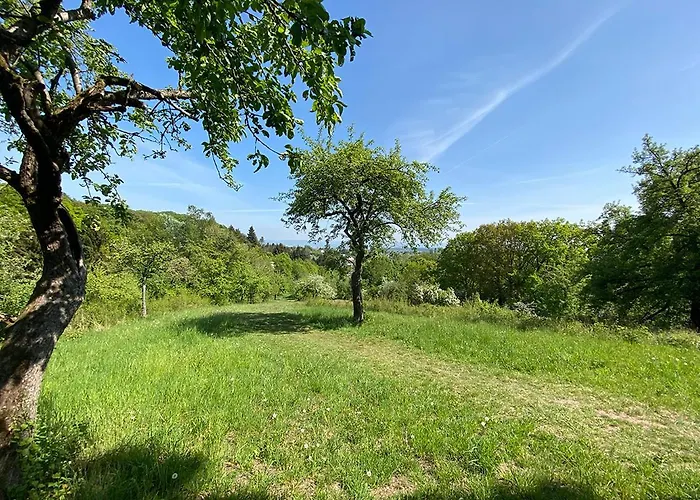 003 Harleshausen Kassel