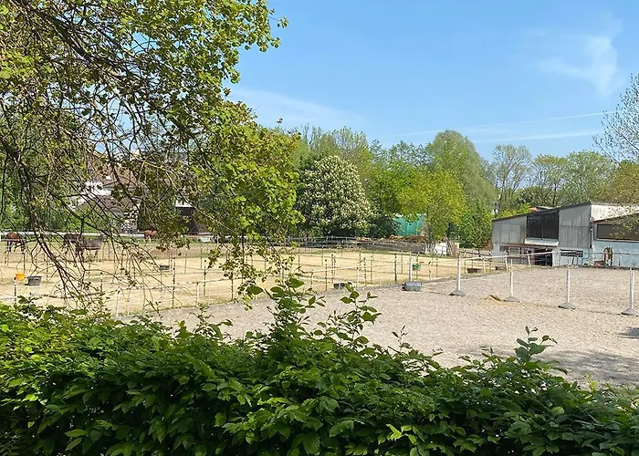 003 Harleshausen Apartamento *