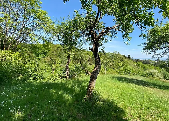 003 Harleshausen דירה *